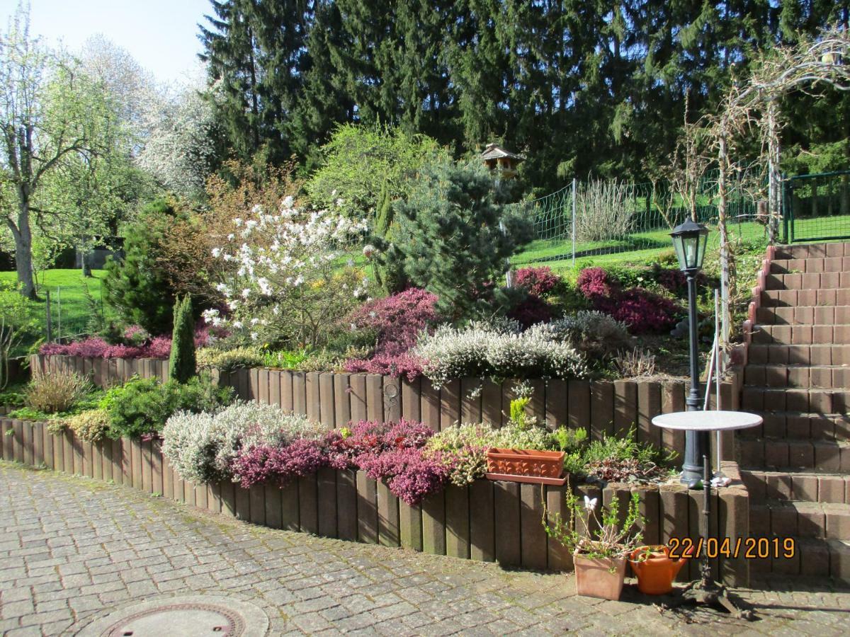 Pension Hilberath Kottenborn Exterior photo